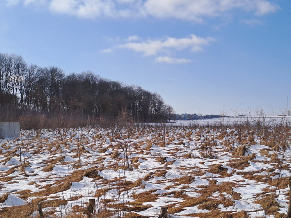 Продаж земельної ділянки 10 соток на вул. Івана Франка  - фото 17