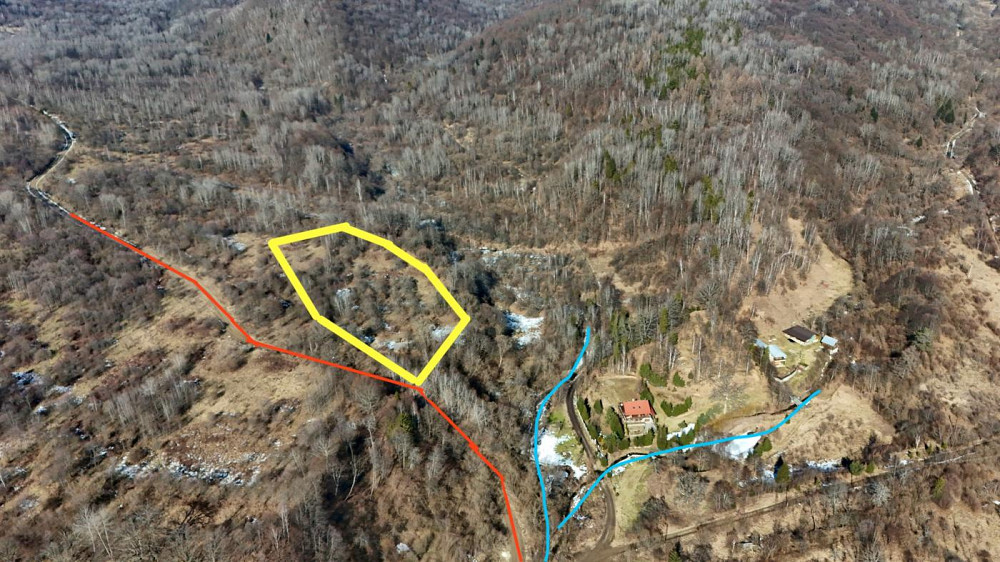 Продаж земельної ділянки 98 соток Verkhnie Synovydne - photo 2