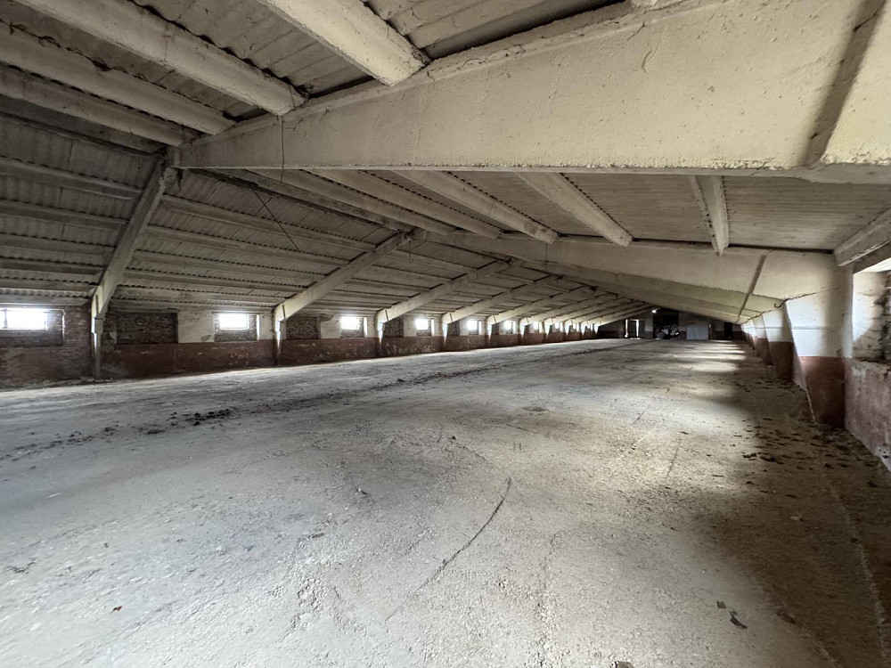 Оренда приміщення вільного призначення на вул. Шевченка поверх - 1/1  - фото 5