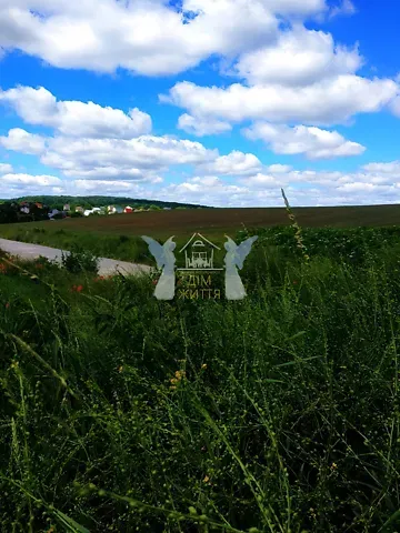 Продажа земельного участка  площадь 207 сот Зелена вулиця  - изображение 6