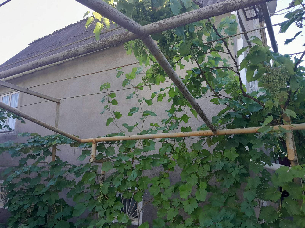 Продам дачу в с.Христиновка возле Хаджибеевского лимана Єгорівка - фото 12