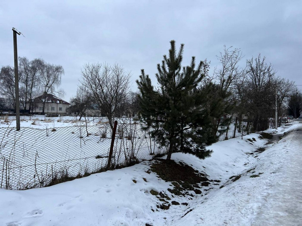 Продаж земельної ділянки 40 соток на вул. Тараса Шевченка Скнилов (Золочивський район) - изображение 2