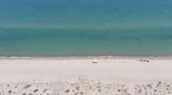 Продаж заклад громадського харчування поверх - 1/1 Грибовка