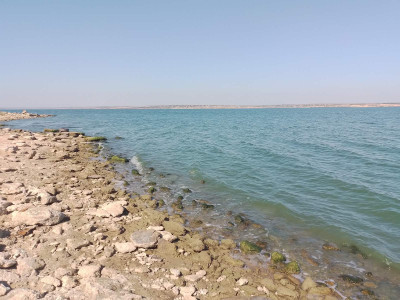 Продаж земельної ділянки 0.1 соток на ул. ул. Бузкова Долина (ДСТ "Витамин"), 28а Нерубайське - фото 5