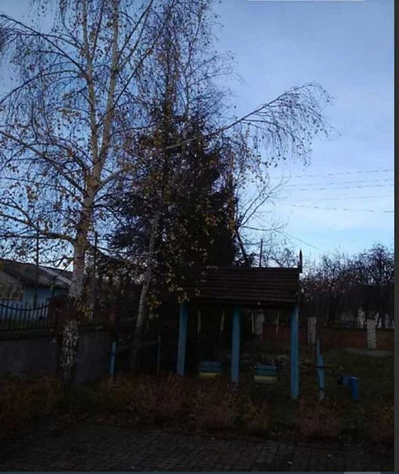 Продаж торгове приміщення поверх - 1/1  - фото 12