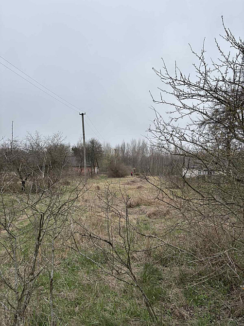 Продаж земельної ділянки 23 соток на Тригірья Zhytomyr - photo 3