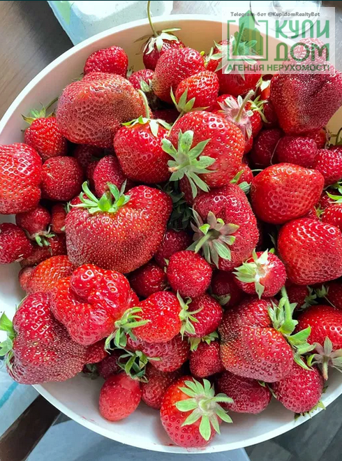 ПРОДАМ НЕЙМОВІРНИЙ БУДИНОК в мальовничому місці. Кропивницький - фото 30