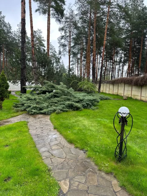 Продаж 2-поверховий Будинок з ділянкою 17 сот 346.8 кв.м 7+ кімн. на піщанка Новомосковськ - фото 2