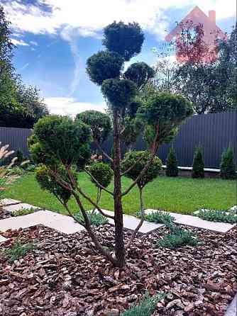 Продаж сучасного котеджу у тихому та спокійному місці! Uzhhorod