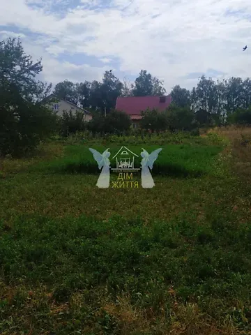 Продаж земельної ділянки  площа 10 сот Козацька вулиця Велика Березовиця - фото 6