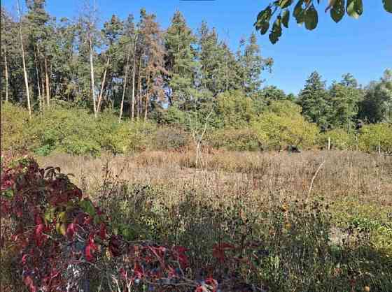 Продаж земельної ділянки 21 соток на садовое товарищество - Бытовик Обухов