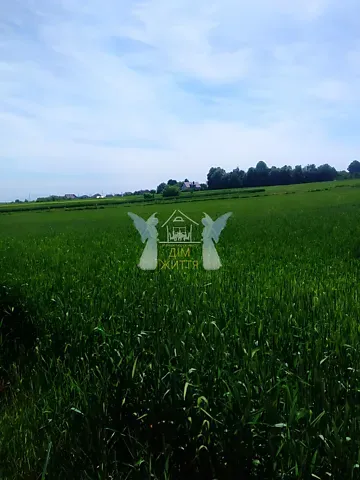 Продажа земельного участка  площадь 29.6 сот Шевченка вулиця  - изображение 7