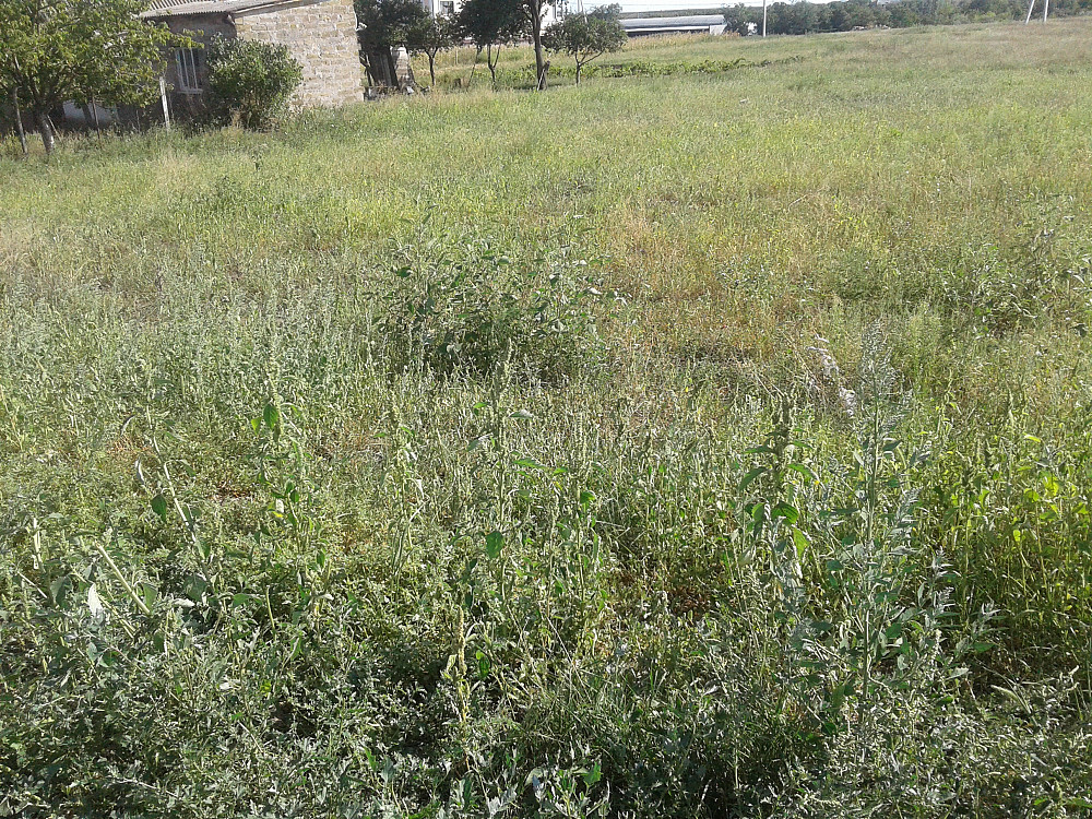 Продаж земельної ділянки 0.3 соток на ул. Массив ?, 54 Усатове - фото 14