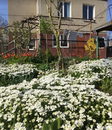 Продам кирпичный дом с. Молодежное/ СК Восход Молодіжне