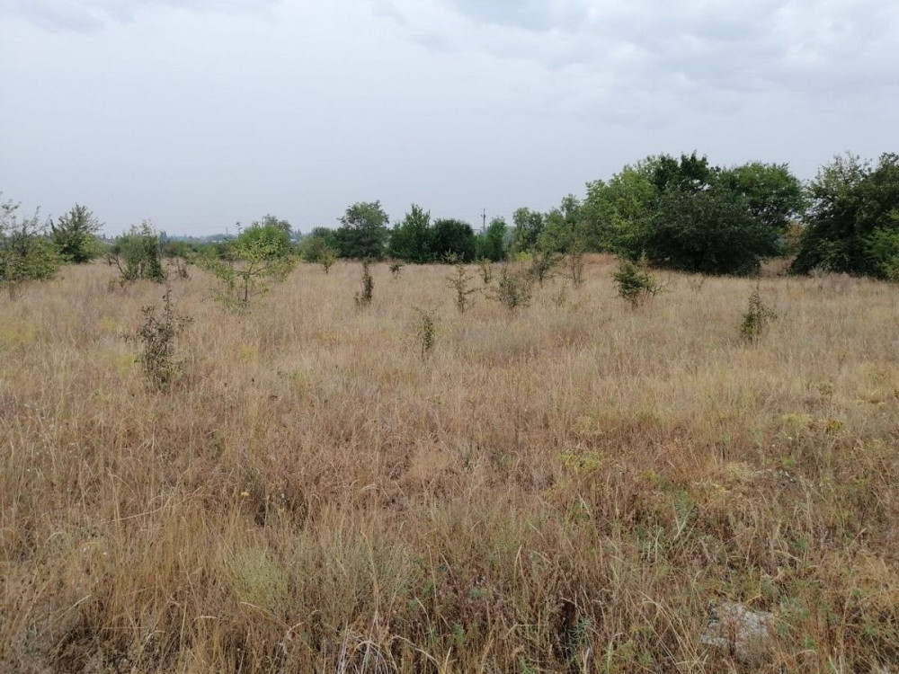 Продаж земельної ділянки 10 соток на АН Купи Дім Кропивницький - фото 2