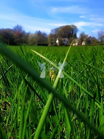 For sale land plot  area 18 ares Івана Франка бічна вулиця  - photo 3