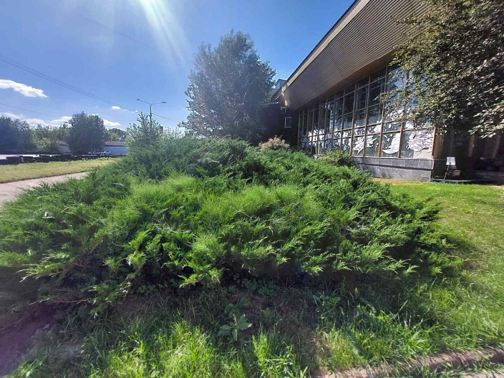 Продаж офісне приміщення на улица Выставочная, д.1 приміщень - 5, поверх - 1/2  - изображение 7