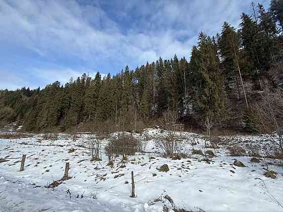 Продаж земельної ділянки 44.6 соток на вул. Шевченка Тухля