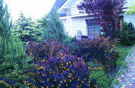 Продам дом 245м2   на 10ти сотках в Сухом Лимане Сухий Лиман