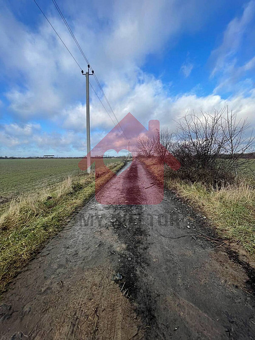 Продаж земельної ділянки 2 га  - фото 5