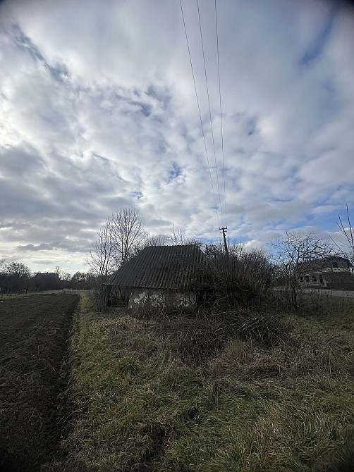 Продаж земельної ділянки 59 соток на Грушевського Хом'яківка (Снятинський район) - фото 2