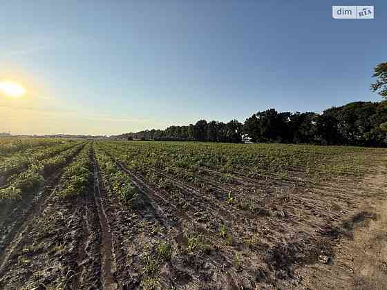 Продаж земельної ділянки 6 соток Vinnytsya