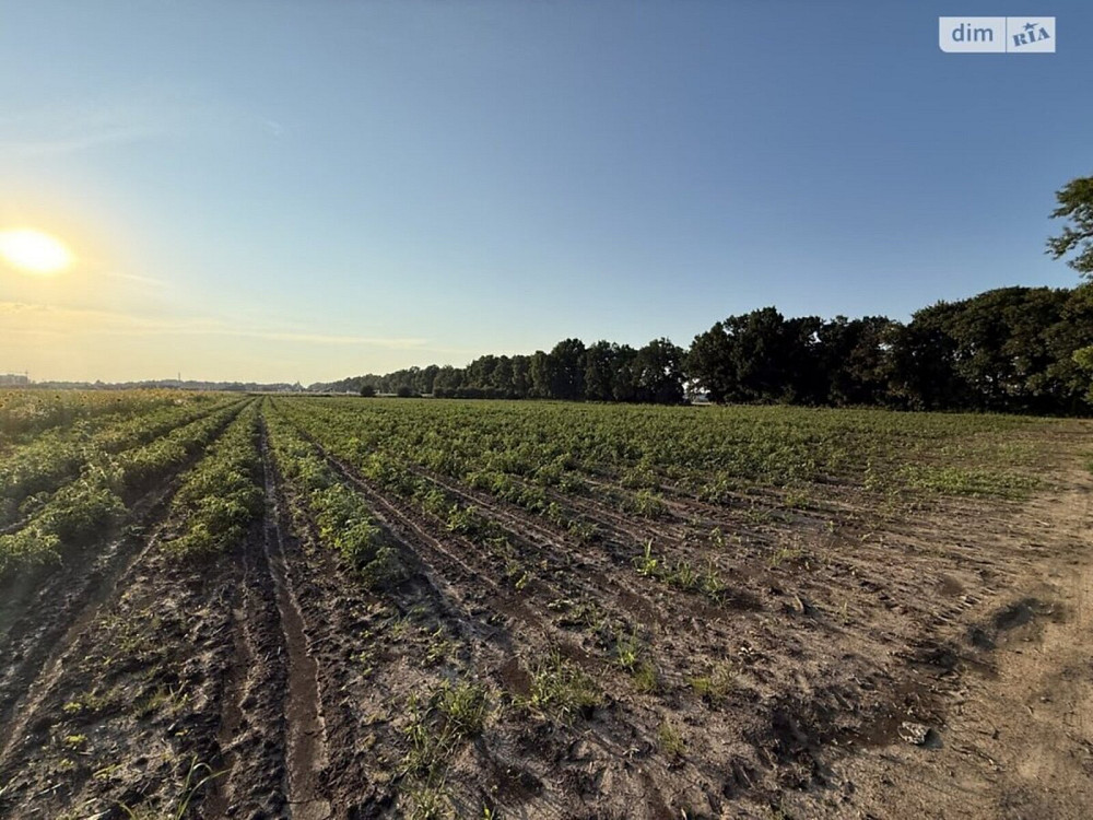 Продаж земельної ділянки 6 соток Vinnytsya - photo 4