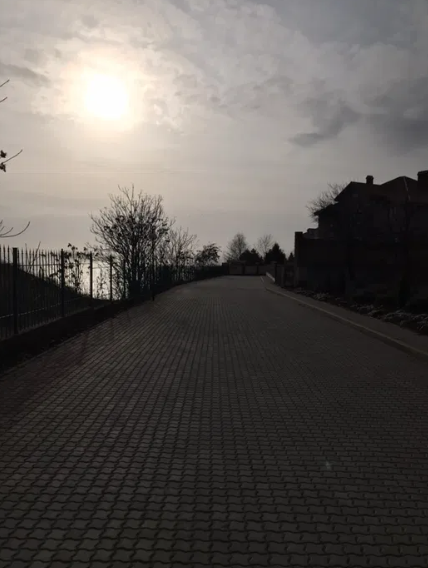 Продам дом в Лесках (комплекс "Тартус") Ліски (Комінтернівський район) - фото 12