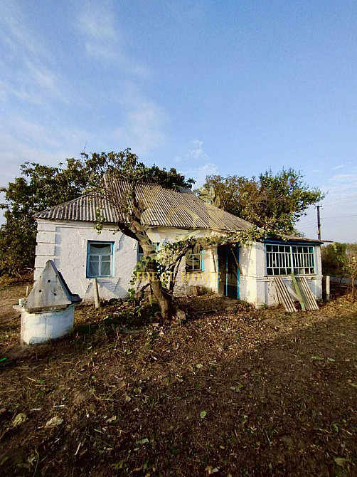 Продається будинок в Юшківому Розі  - фото 15