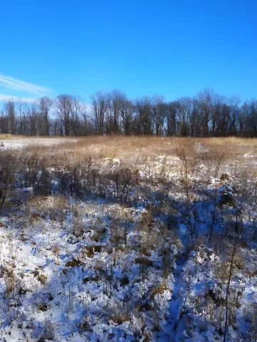 Продажа земельного участка  площадь 10 сот Вишнева вулиця 1  - изображение 5