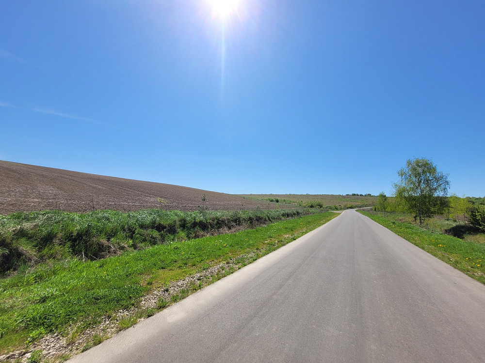 Продаж земельної ділянки 3.76 га Kolodiivka - photo 14