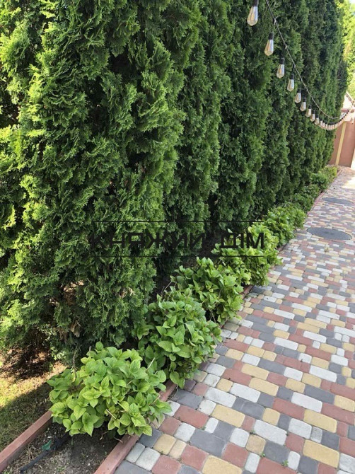 Без комісії! Є Генератор! Оренда 2-х поверхового будинку Чапаївка Голосіївський р-н. № 139465 Киев - изображение 11