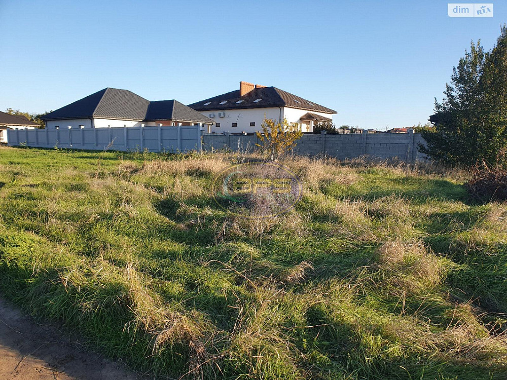 Продаж земельної ділянки 30 соток Лиски (Коминтернивський район) - изображение 2