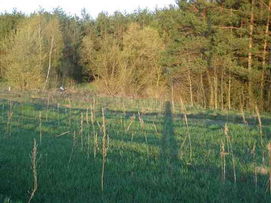 Продаж земельної ділянки 17 соток на Харківська Fasivochka