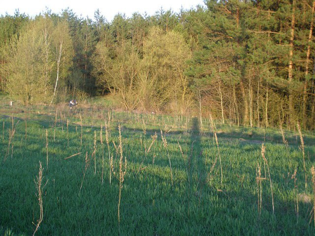 Продаж земельної ділянки 17 соток на Харківська Fasivochka - photo 1