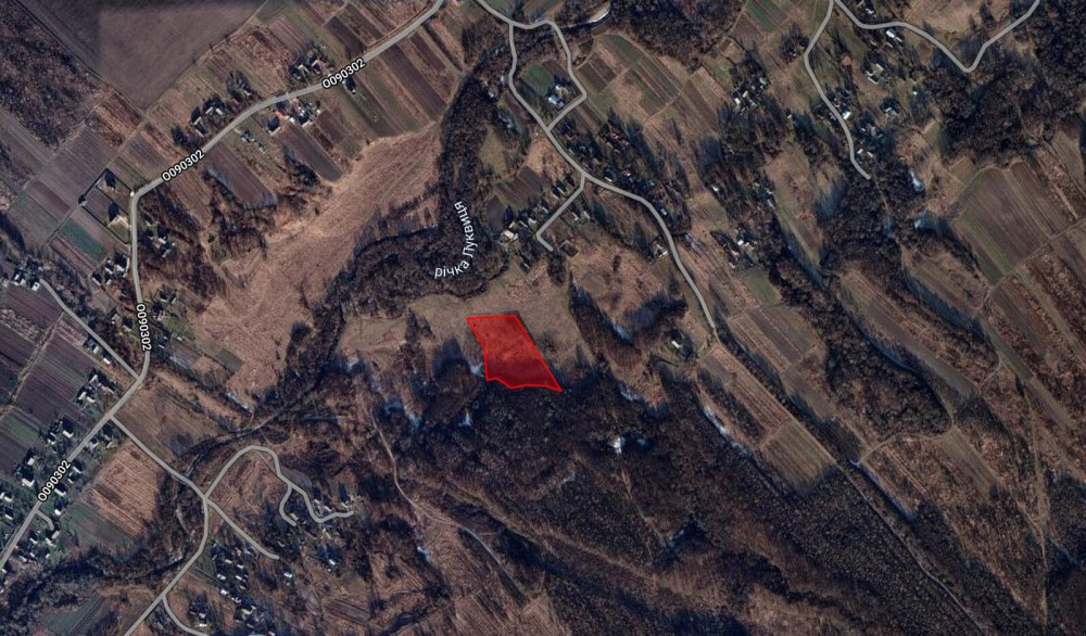 Продаж земельної ділянки 1 га на Урочище Біля Шевадуцької Наталії Viktoriv - photo 2