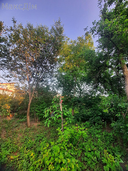 Продаж Будинок 4-кімнатний на вул. Березова Великая Березовица - изображение 9