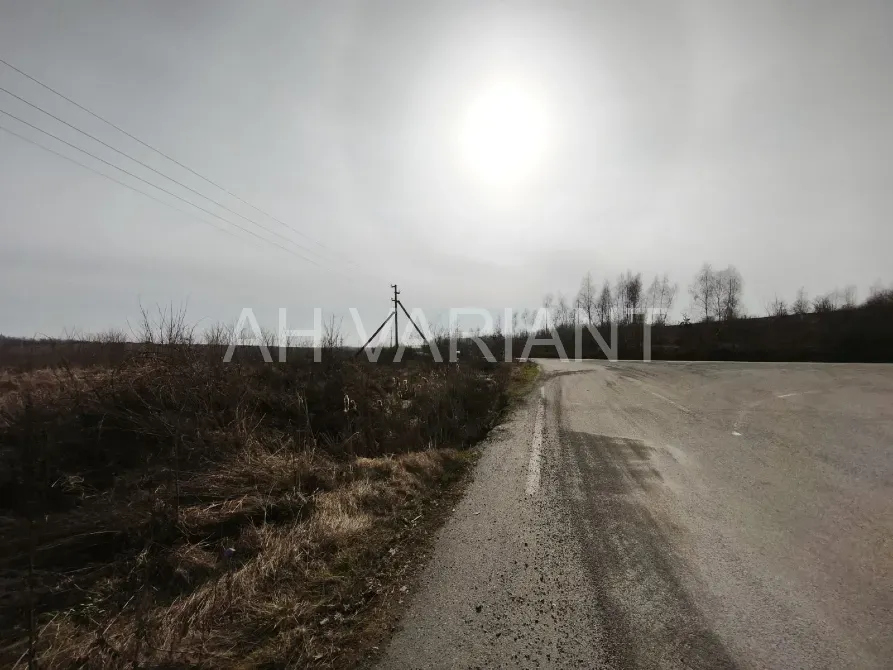 Продаж земельної ділянки Для сільськогосподарської діяльності площа 1191 сот Польова Середнє - фото 11