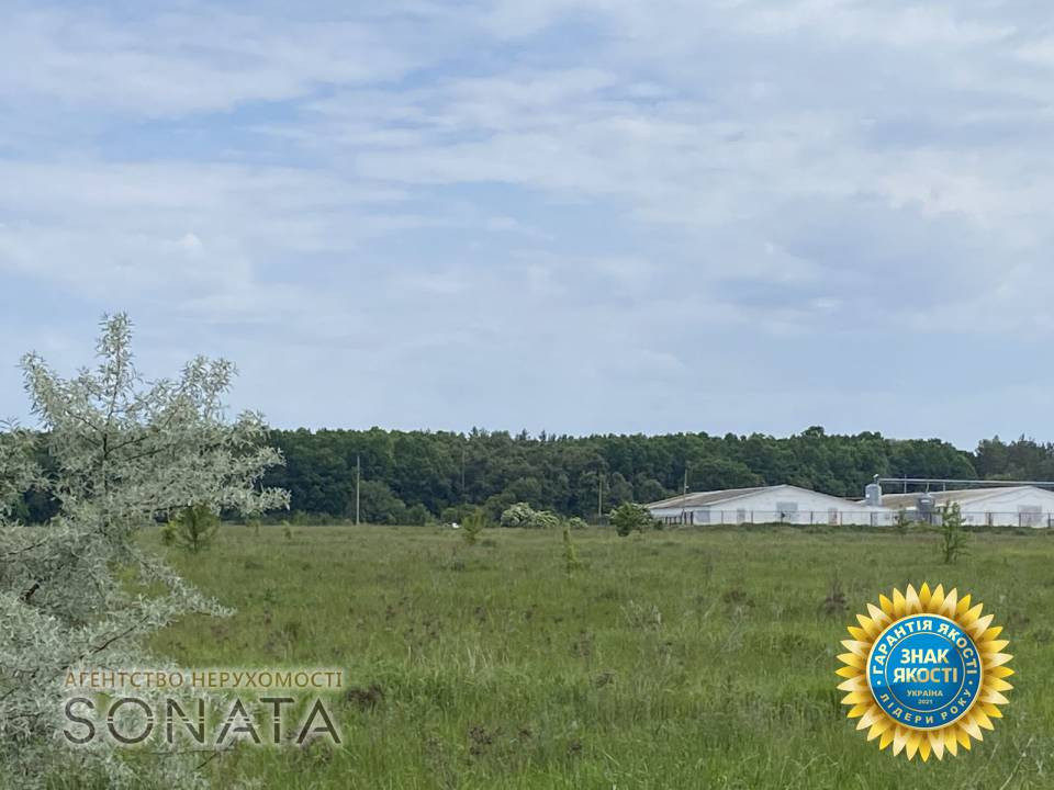 Продаж земельної ділянки на вул. Калинова Свидівок - фото 4