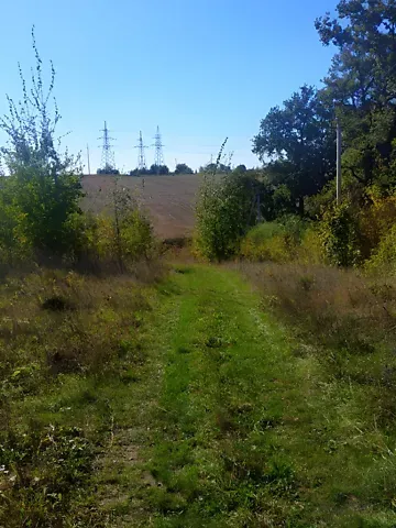 Продажа земельного участка  площадь 54 сот Лісна бічна вулиця  - изображение 3