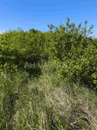 Продаж земельної ділянки Для сільськогосподарської діяльності площа 8 сот Польова Кінчеш