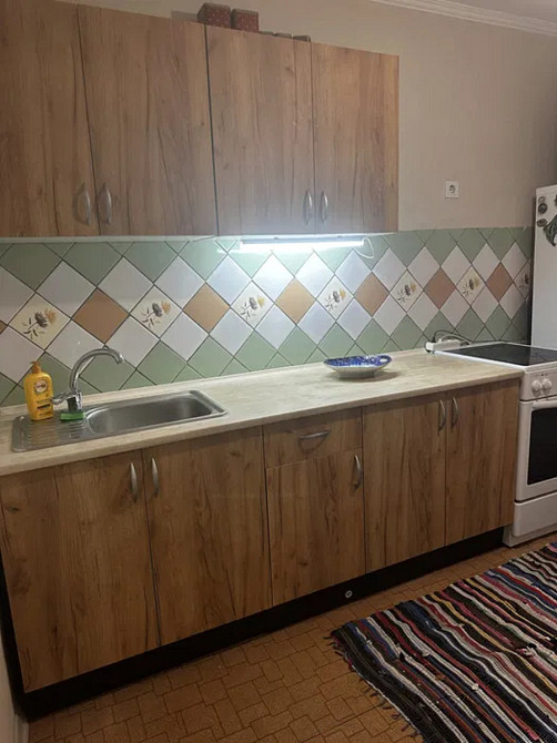 Оренда Квартира 1-кімнатна, 9/16 поверх на вул. Дачна, 51 Kiev - photo 12