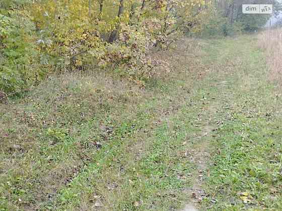 Продаж земельної ділянки 6 соток 