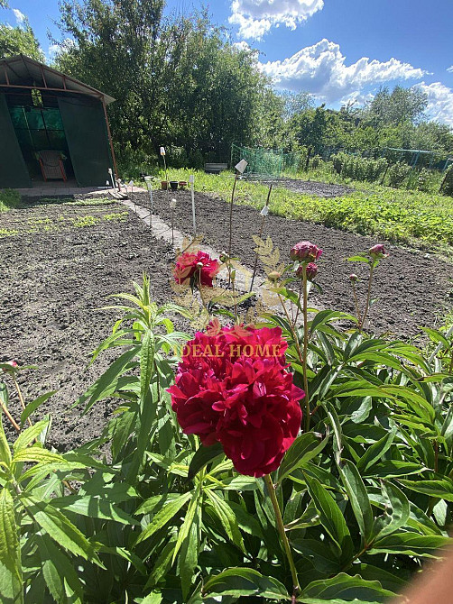 Продам дачна ділянка з будинком Лебедин - фото 13