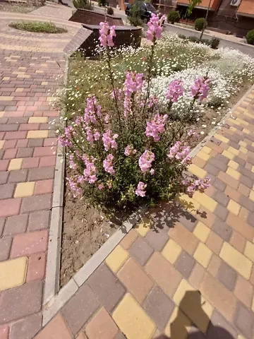 Продажа 2к Квартира 54.9 кв.м Машинобудівна вулиця 177 Николаев - изображение 2