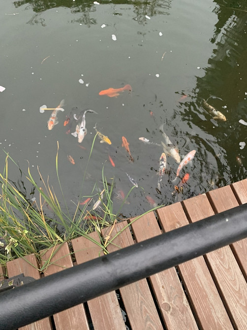 Продаж Квартира 4-кімнатна, 4/5 поверх на Успенская ул., 2б Odessa - photo 16