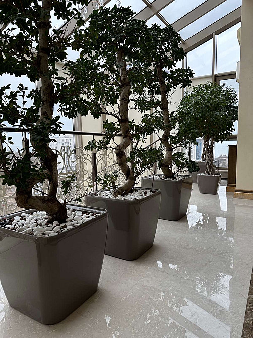 Клубный дом  ЖК "Ясная Поляна"/ ул.Отрадная. Евроремонт. Вид на море. Одеса - фото 12