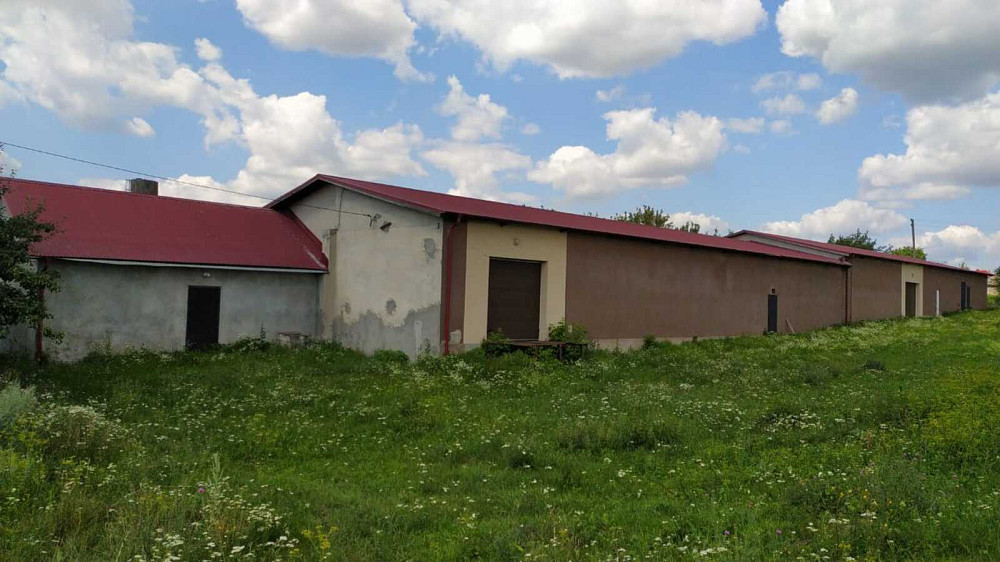 Оренда приміщення вільного призначення на вул. Нова поверх - 1/1  - изображение 3