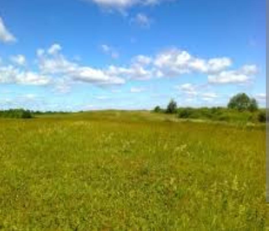 Продаж земельної ділянки на Генерала Петрова, 63 Одеса - фото 2