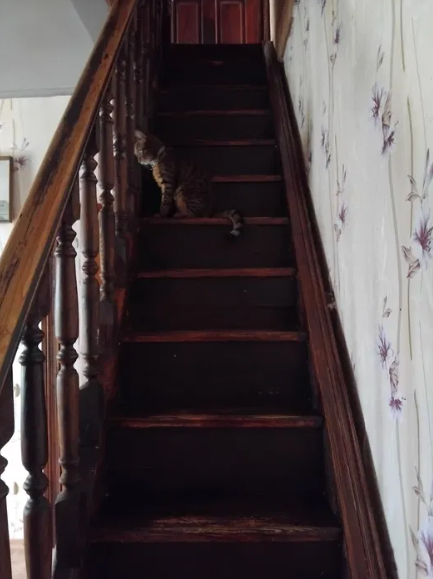 Продам 2-х этажный дом  в с.Александровка (Лиманский р-н, 5 км от Одессы) Dobrooleksandrivka - photo 10